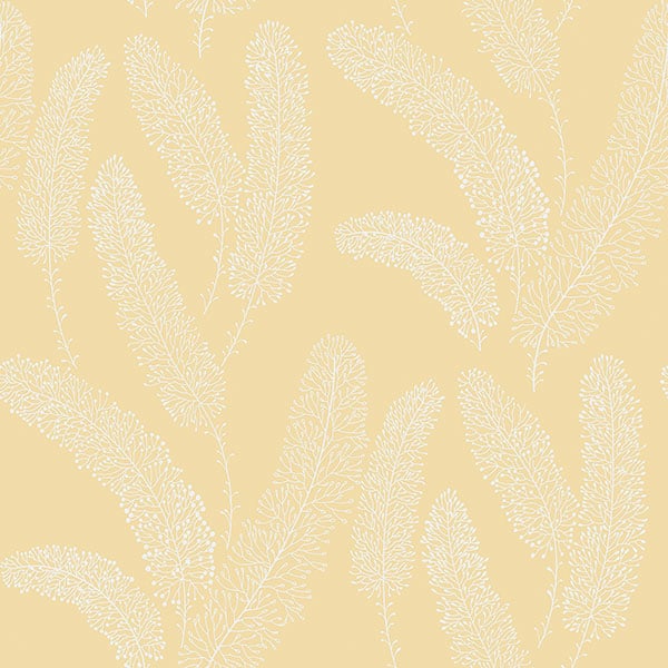 Galerie Wallpaper Product code: PA34251 - Paradise Wallpaper Collection -   