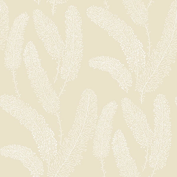 Galerie Wallpaper Product code: PA34253 - Paradise Wallpaper Collection -   