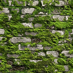 Galerie Wallcoverings Product Code 45731 - The Bricks And More Wallpaper Collection - Green Colours - Stone optic Design