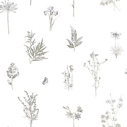 Galerie Wallcoverings Product Code 7341 - Evergreen Wallpaper Collection - Grey Colours - Botanical  Design