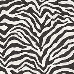 Galerie Wallcoverings Product Code G67491 - Natural FX 2 Wallpaper Collection -  Zebra Design