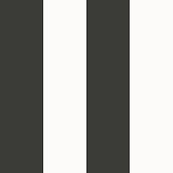 Galerie Wallcoverings Product Code SS21235 - Style Sisters Classic Wallpaper Collection -  Wide Stripe Black Design