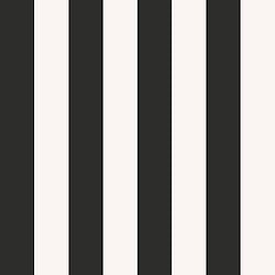 Galerie Wallcoverings Product Code SS21239 - Style Sisters Classic Wallpaper Collection -  Flock Stripe Black Design