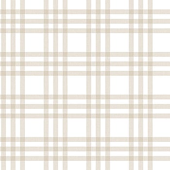 Galerie Wallcoverings Product Code 5431 - Little Explorers Wallpaper Collection - Beige Colours -  