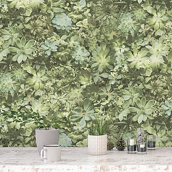 Galerie Wallcoverings Product Code 7320 - Evergreen Wallpaper Collection - Green Colours -  