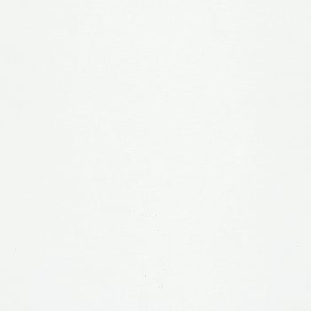 Galerie Wallcoverings Product Code 82345 - Flora Wallpaper Collection - White Colours -  