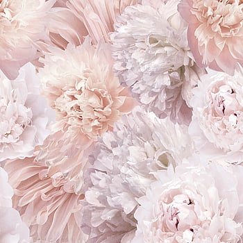 Galerie Wallcoverings Product Code A77501 - One Roll One Motif II Wallpaper Collection - Pink Colours -  