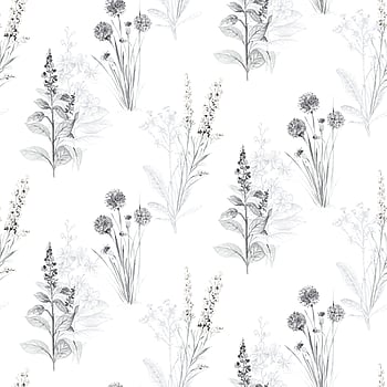 Galerie Wallcoverings Product Code AB42443 - Abby Rose 4 Wallpaper Collection - Grey Black Colours -  