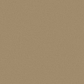 Galerie Wallcoverings Product Code DC30148 - Designer Colours Wallpaper Collection - Bronze Brown Colours -  