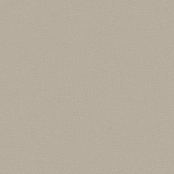 Galerie Wallcoverings Product Code DC30181 - Designer Colours Wallpaper Collection - Beige Colours -  