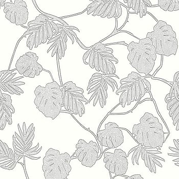 Galerie Wallcoverings Product Code ED13076 - Ted Baker Eden Wallpaper Collection - White Black Colours -  