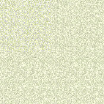 Galerie Wallcoverings Product Code G68708 - Miniatures 3 Wallpaper Collection - Greens,White Colours -  