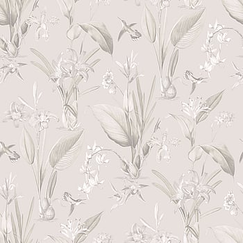 Galerie Wallcoverings Product Code G78503 - Secret Garden Wallpaper Collection -   