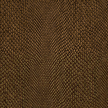 Galerie Wallcoverings Product Code NHW1037 - Enchanted Wallpaper Collection - Bronze Colours -  