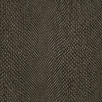 Galerie Wallcoverings Product Code NHW1039 - Enchanted Wallpaper Collection - Greige Colours -  